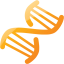 dna helix