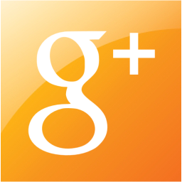 google plus 2 icon