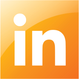 linkedin 2 icon