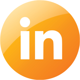 linkedin 4 icon