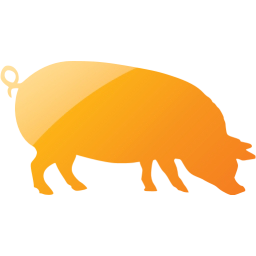 pig 4 icon