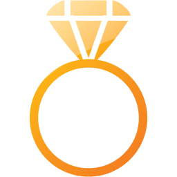 ring 2 icon