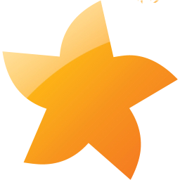 star 21 icon