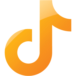 tiktok icon