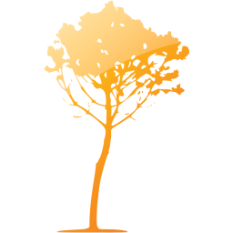 tree 34 icon