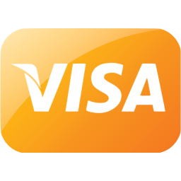 visa icon