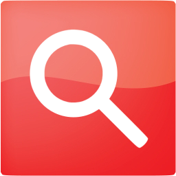 google web search icon