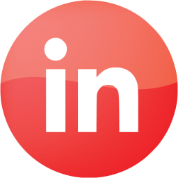 linkedin 4 icon