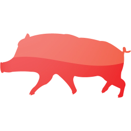 pig 10 icon