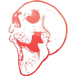 skull 21 icon