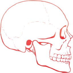 skull 62 icon