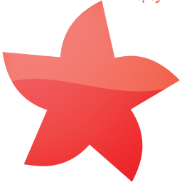 star 21 icon