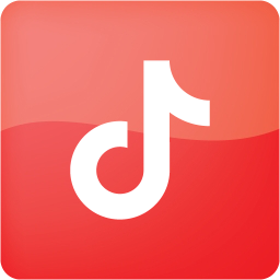 tiktok 2 icon