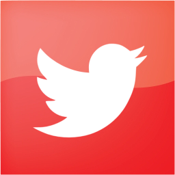 twitter 2 icon