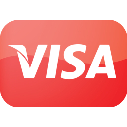 visa icon