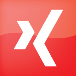 xing 2 icon