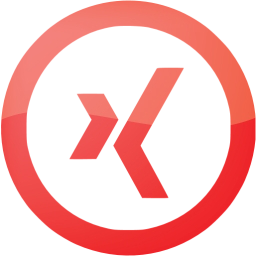 xing 5 icon