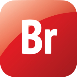 adobe br icon