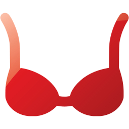 bra icon