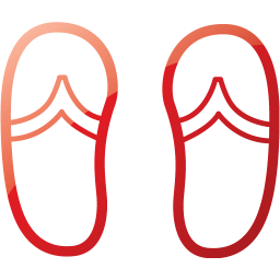 flip flops icon