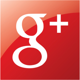 google plus 2 icon