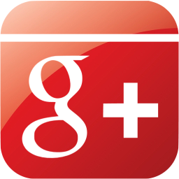 google plus 6 icon