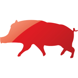 pig 10 icon