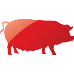 pig 3 icon