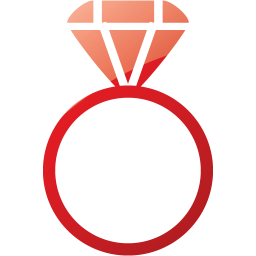 ring 2 icon