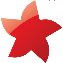 star 21 icon