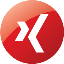 xing 4 icon