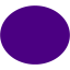 indigo ellipse icon