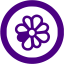 indigo icq 5 icon