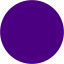 indigo media record icon