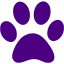 indigo paw icon