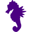 indigo sea horse icon