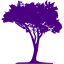 indigo tree 51 icon