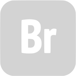 adobe br icon