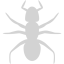 light gray ant 3 icon