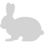 light gray rabbit 2 icon