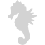 light gray sea horse icon