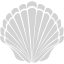 light gray seashell 2 icon