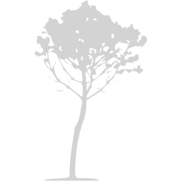 tree 34 icon