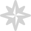 light gray wind rose icon