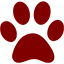 maroon paw icon