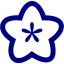 navy blue flower icon