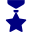 navy blue medal icon