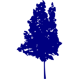 tree 35 icon