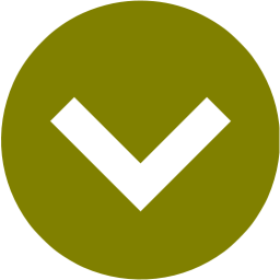 arrow 206 icon