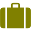 olive baggage icon